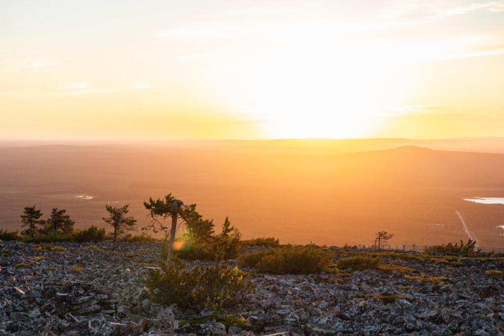 Maisema Pyhätunturin huipulta