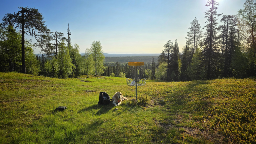 @thegoldenleevi frisbeegolf