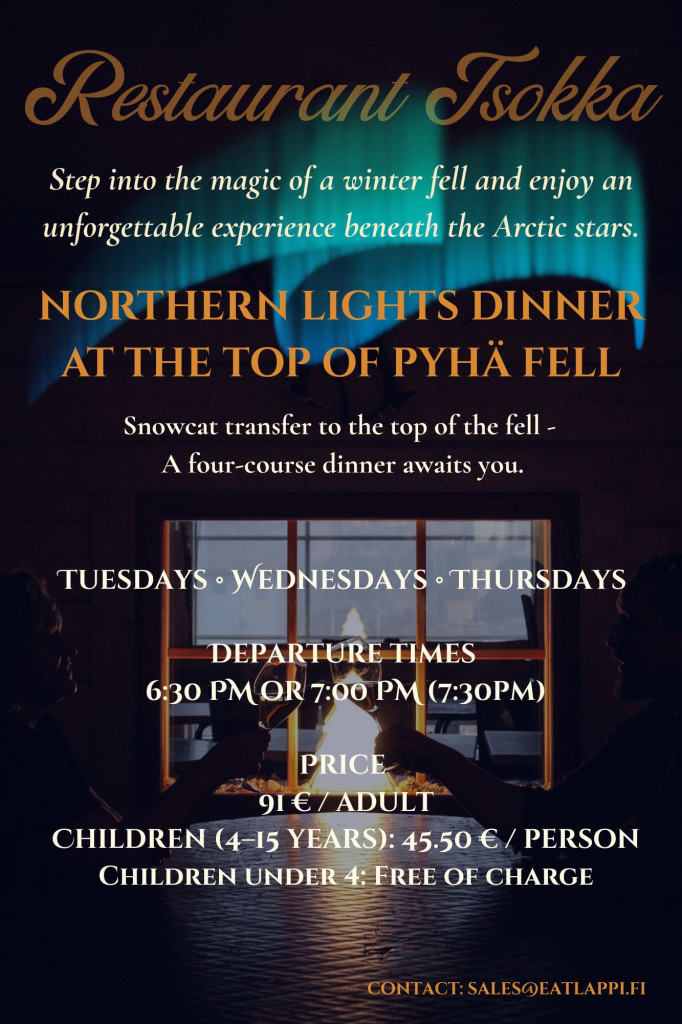 dinner lapland northern lights