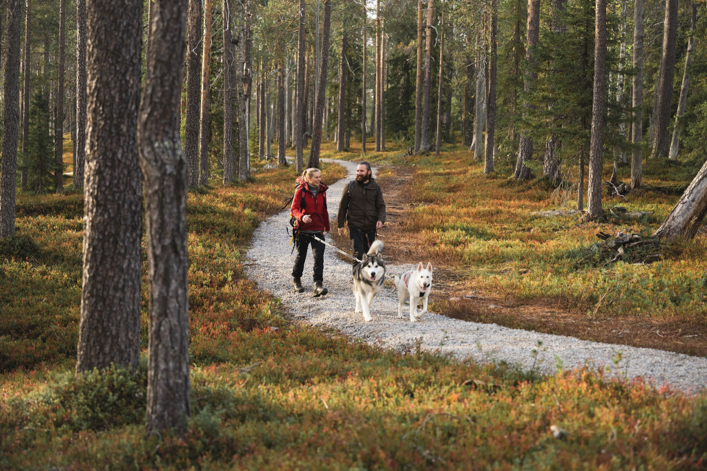 PyhaLuosto_lemmikkiystävällinen