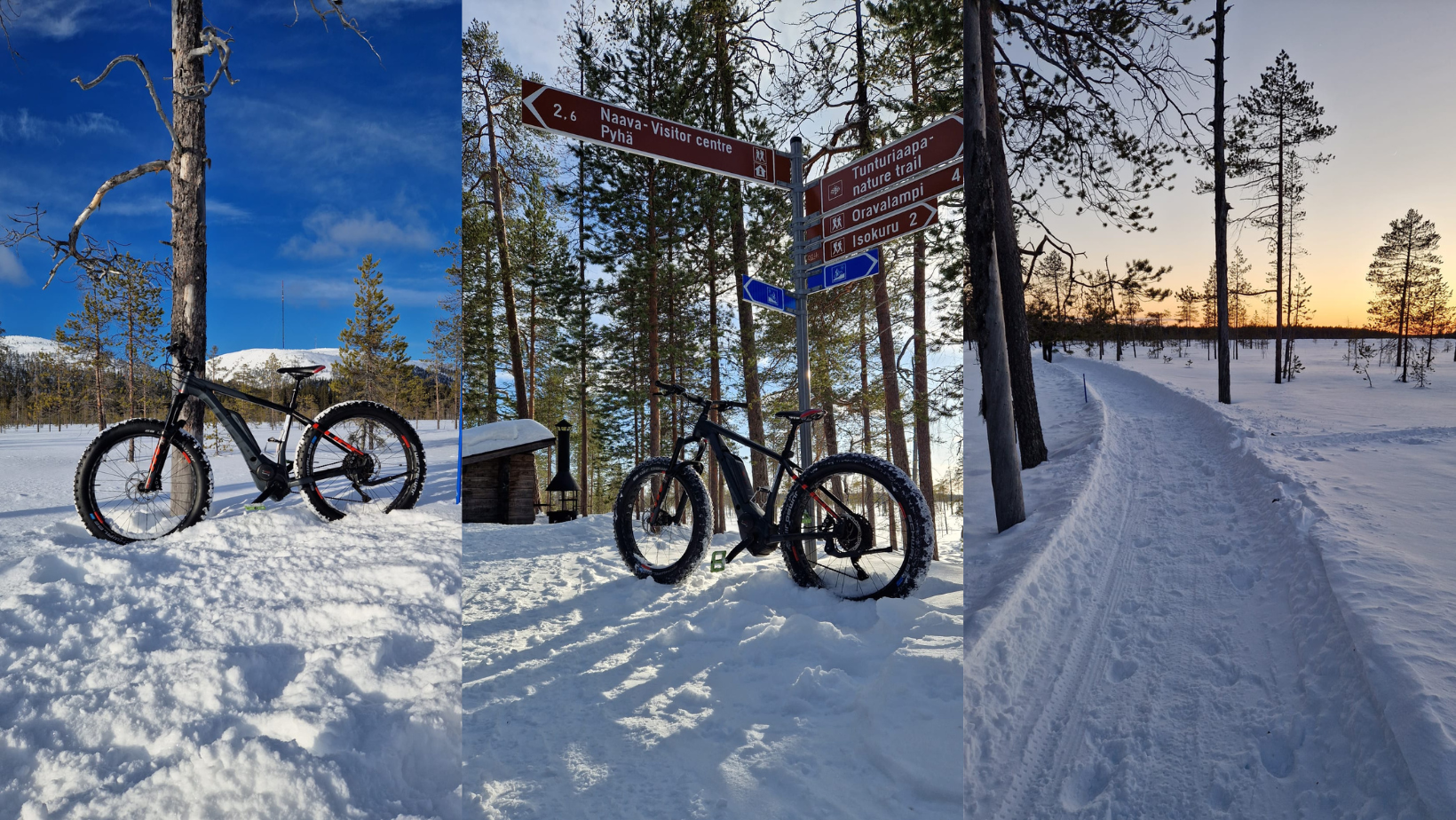 Pyhähippu_tunturiaapa_nature_trail