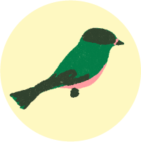 Unplugged icon kuukkeli