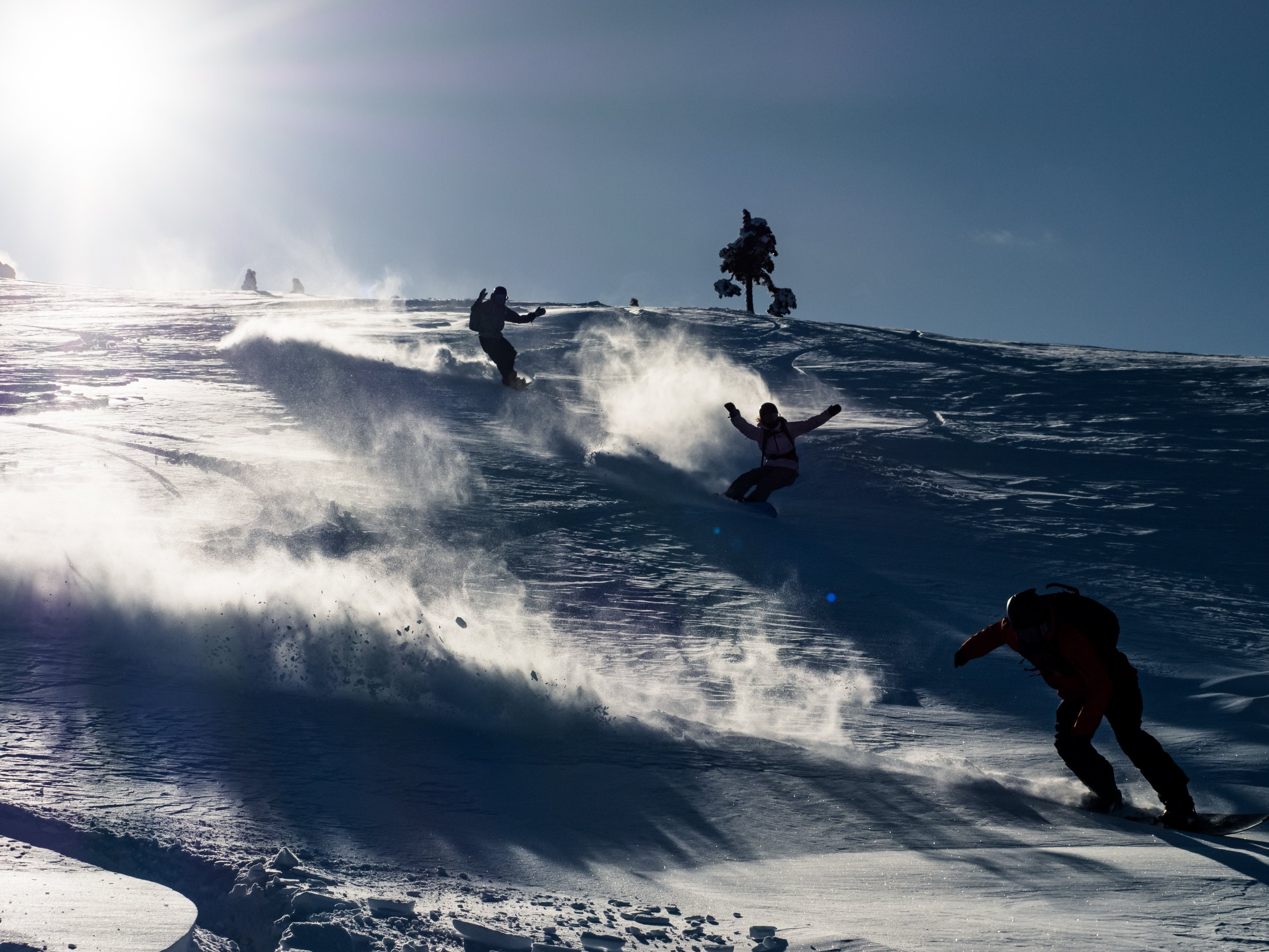 Mimmi Free&#039;kend kuva 2026/2