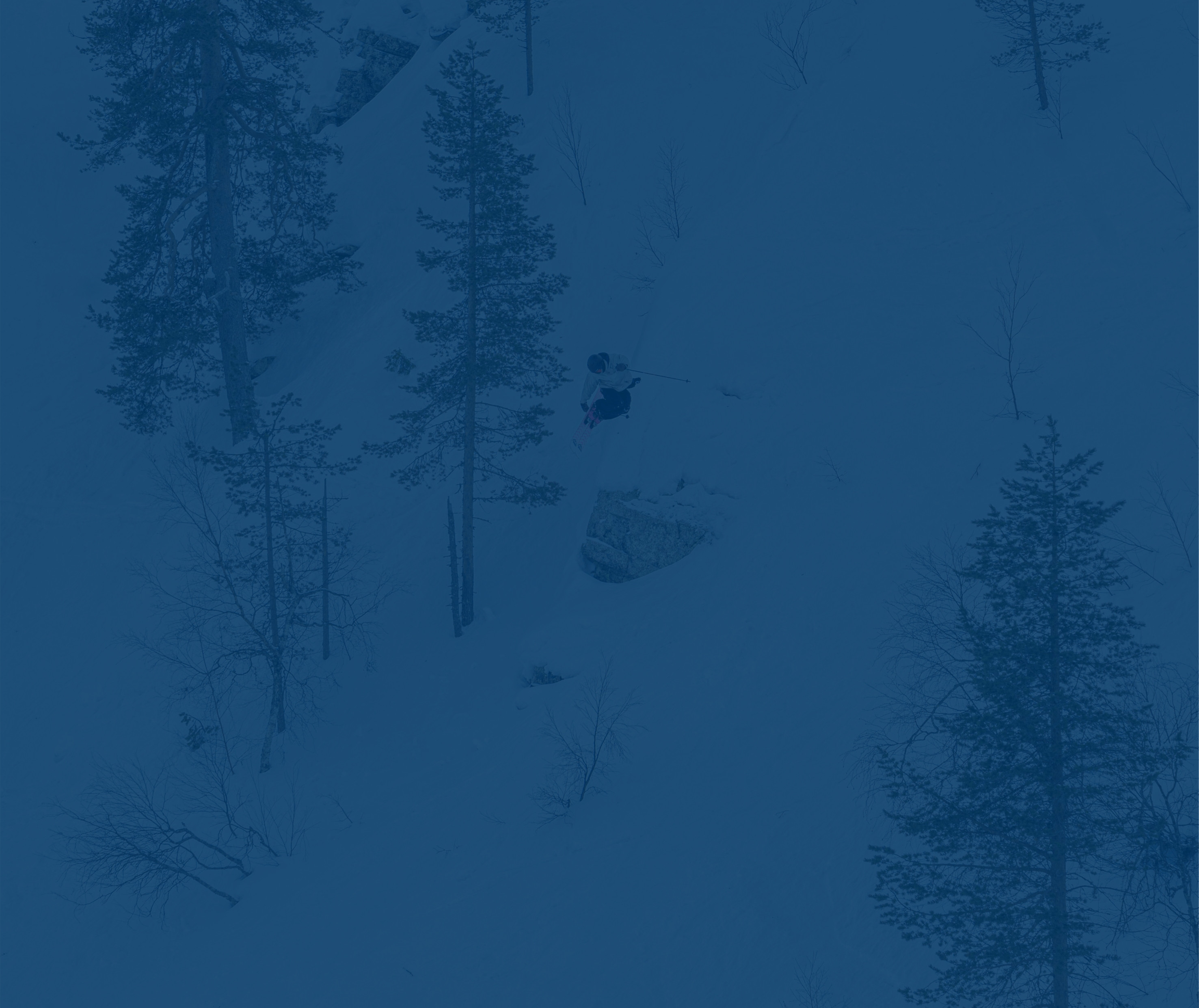 Free&#039;kend background