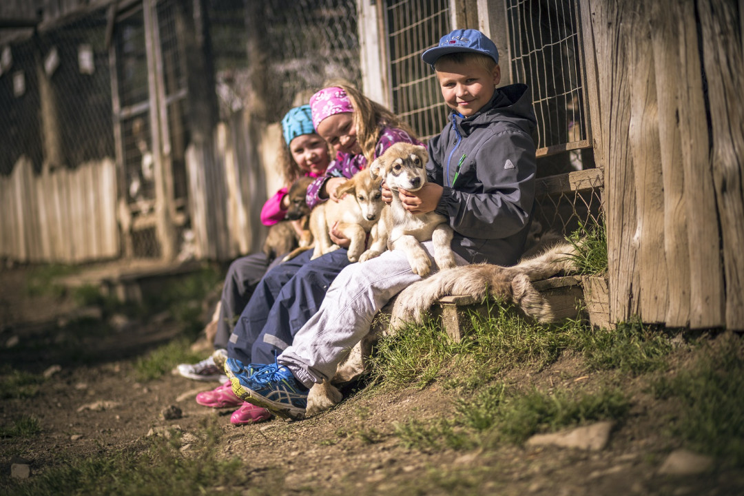 VisitPyhaLuosto_huskies