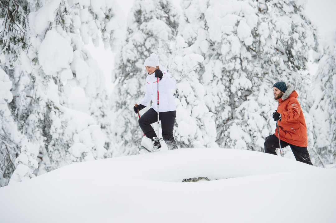 Premium Snowshoeing in Pyhä-Luosto National Park