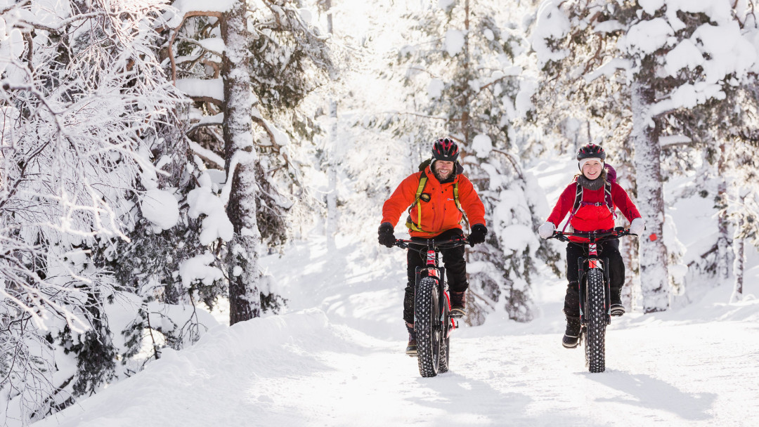 Electric Fatbike Tour to Pyhä-Luosto National Park