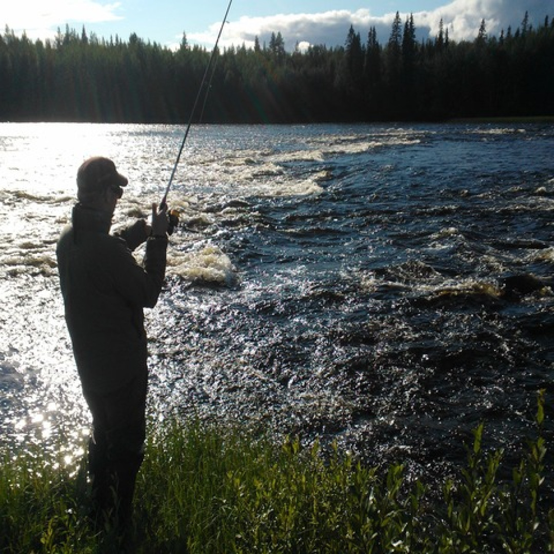 Jankakoira_flyfishing