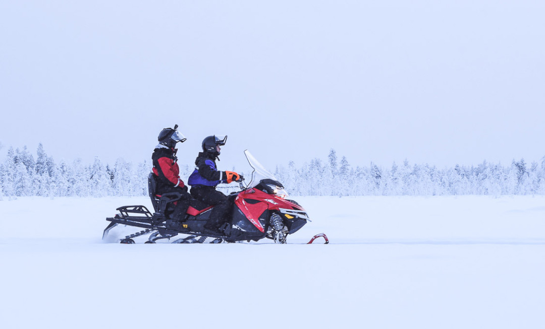 Pyhä Safaris