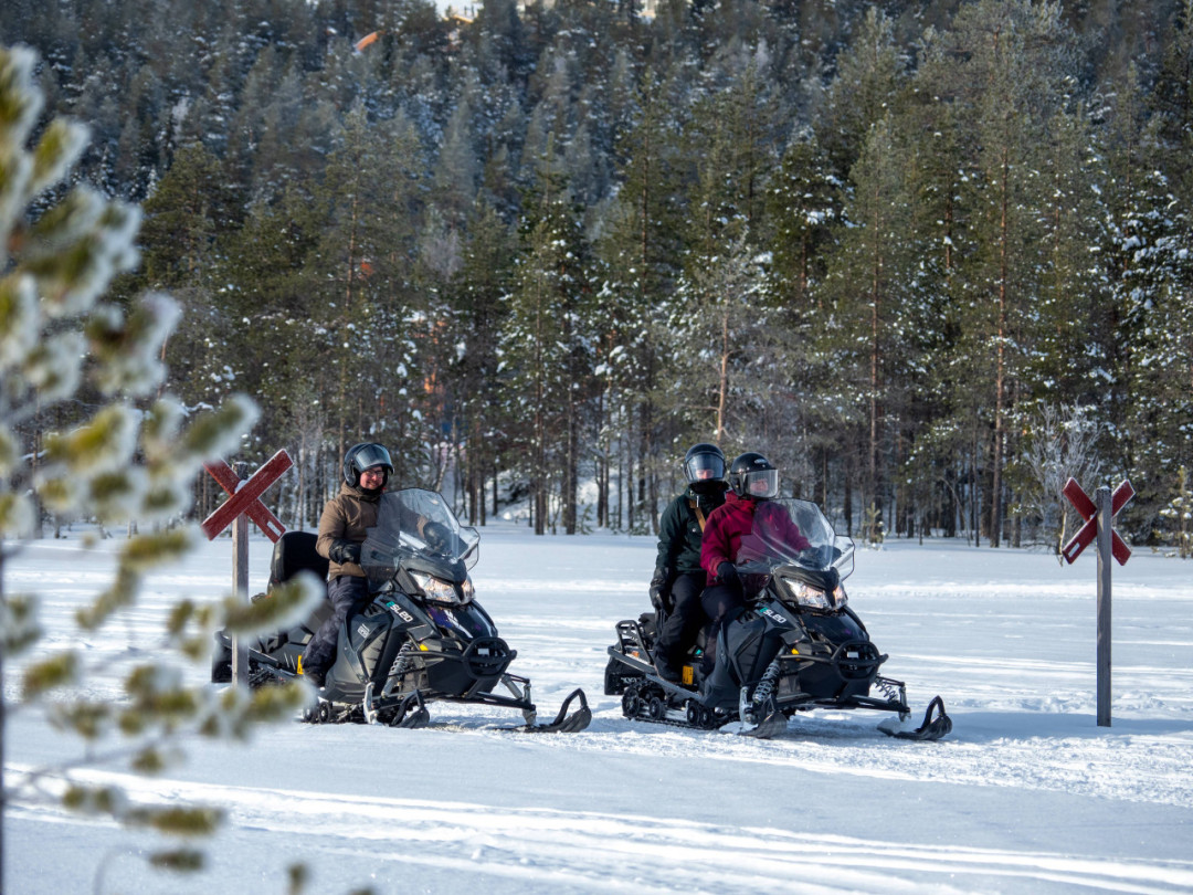Experience Pyhä Husky eSled Safari 5 km
