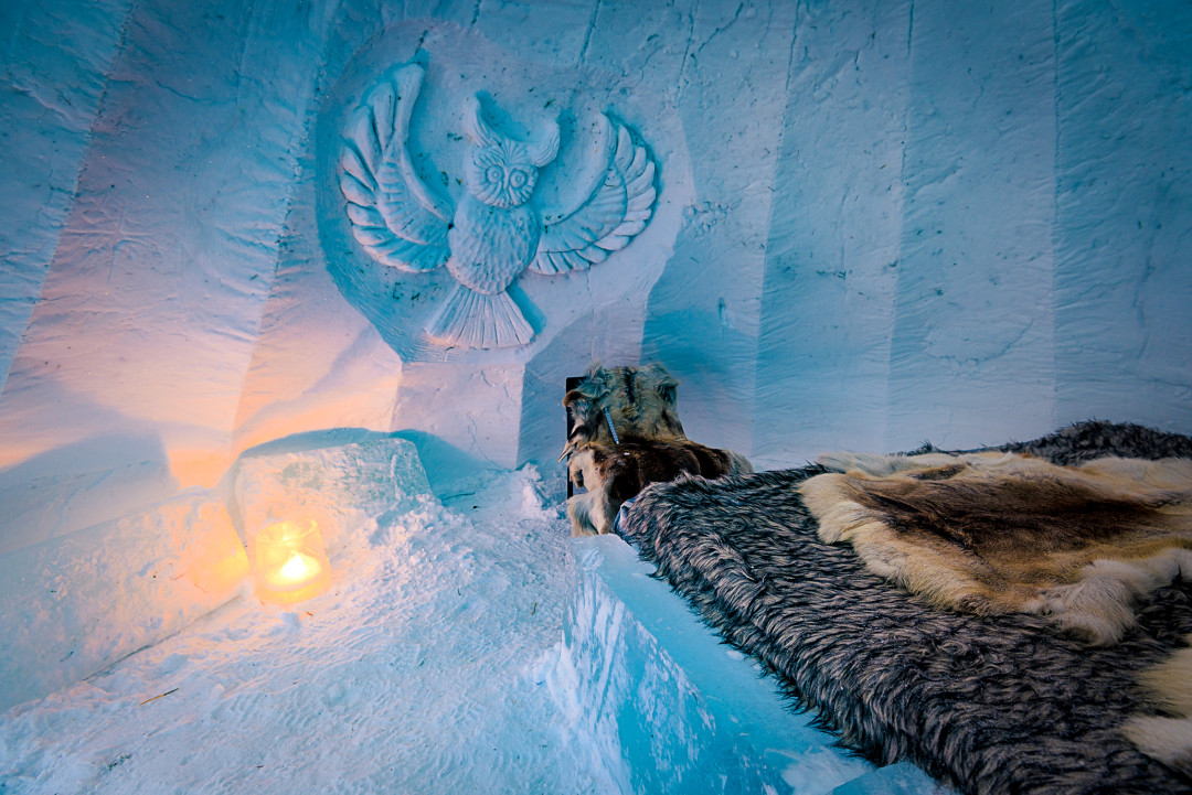 SnowIgloo_owl1