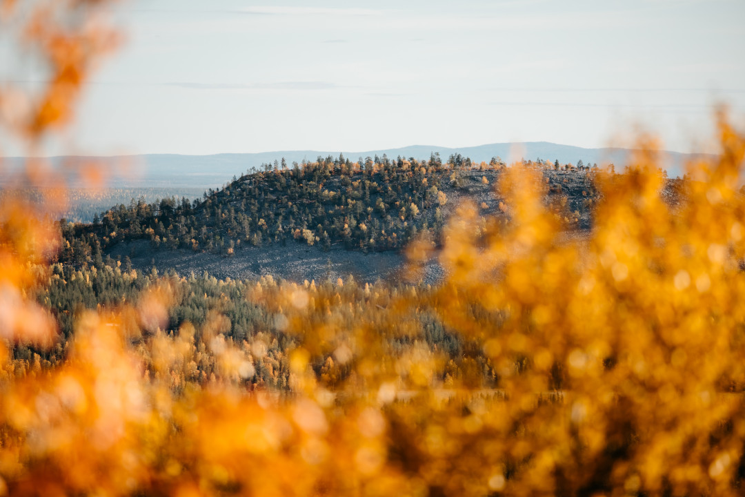 VisitPyhaLuosto-Ruska