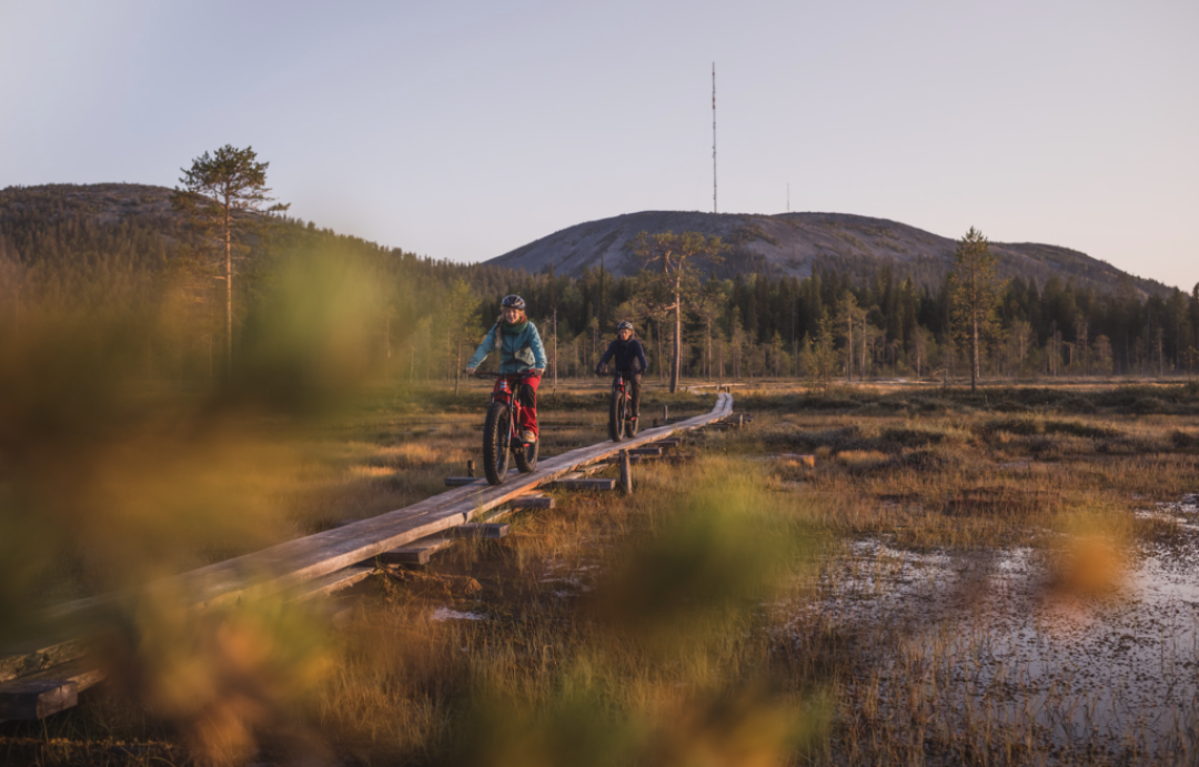 Two people pictured from behind a tree growing in a swampy area of Pyhä-Luosto, with fells in the horizon and sunset laying a soft warm light to the waterlands and pine trees