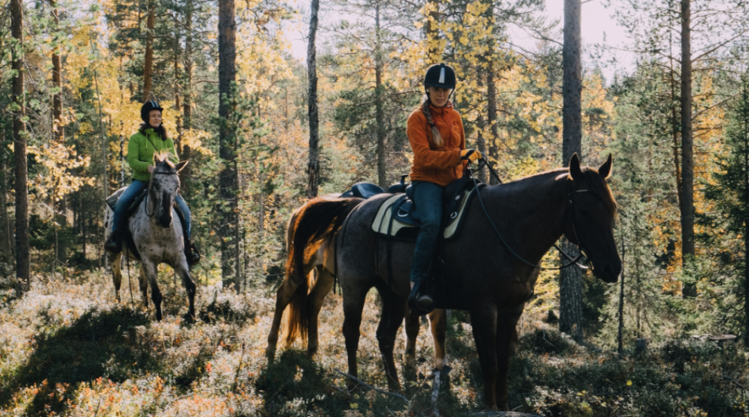 Kaksi henkilöä ratsastamassa kesäisen metsän siimeksessä kolmannen hevosen seuratessa opas ratsastajaa.