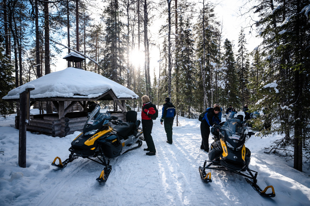 Nature Snowmobile Safari