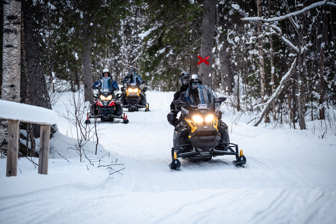 Snowmobile Safari with Campfire