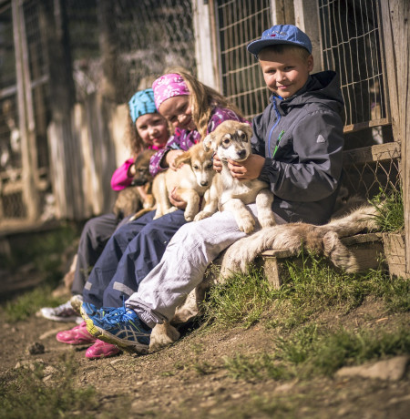 VisitPyhaLuosto_huskies