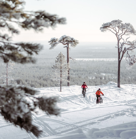 VisitPyhaLuosto-maisema3