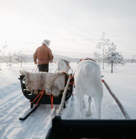 Arctic animals & Farm visits | Pyhä.fi