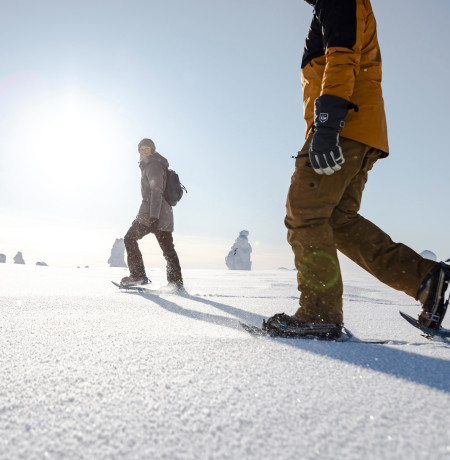 Snowshoeing Tour by Experience Pyha