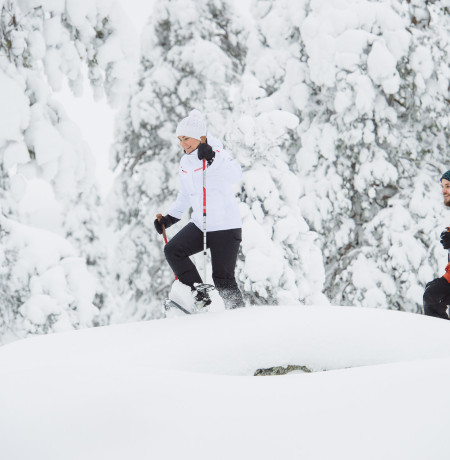 Premium Snowshoeing in Pyhä-Luosto National Park