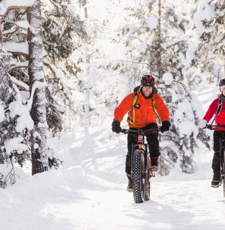 Electric Fatbike Tour to Pyhä-Luosto National Park