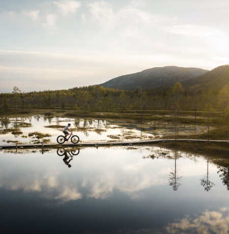 FALKE_Lehrke_Twins_Finnland_Pyha