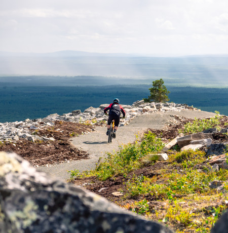 DH biking at Pyhä Flow Lapland