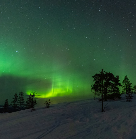 Porno korsatish Dik ichida mushuk