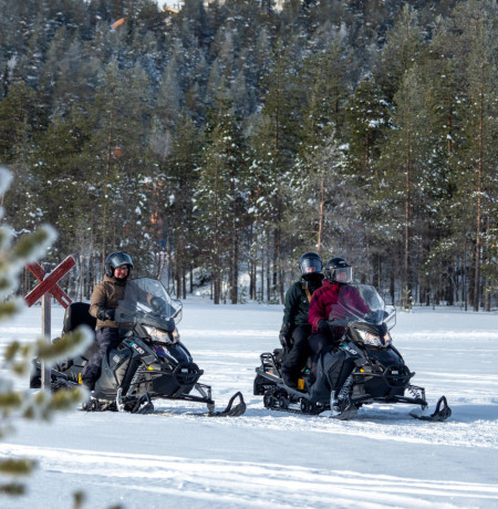 Experience Pyhä Husky eSled Safari 5 km