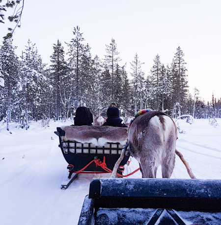 Reindeersafari Kairankutsu Pyhä-Luosto Finland