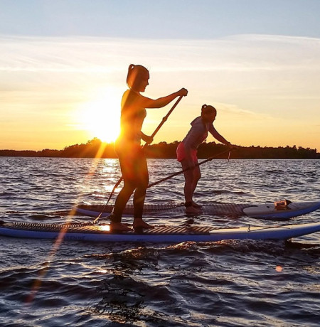Sup boar at Pyhä-Luosto