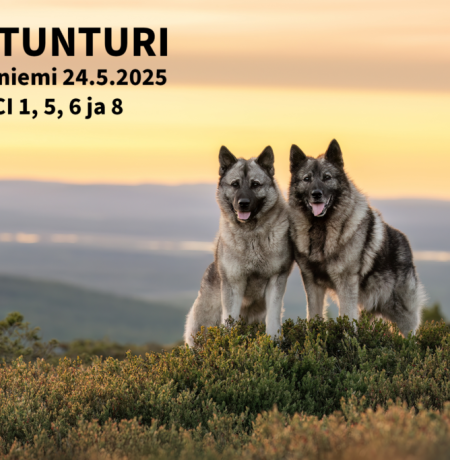 Pelkosenniemi-24.5.2025-1024x683_koiranäyttely.png