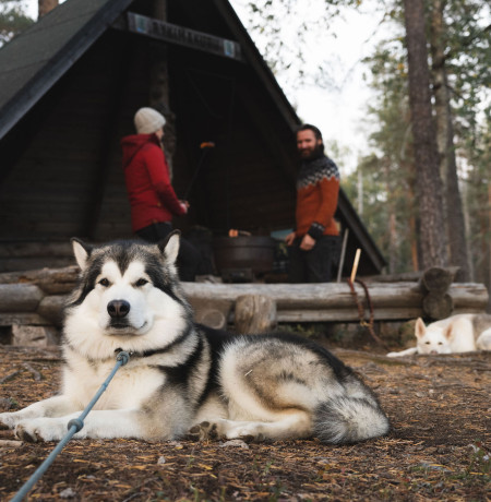 Pyhaluosto_laavu-syksy