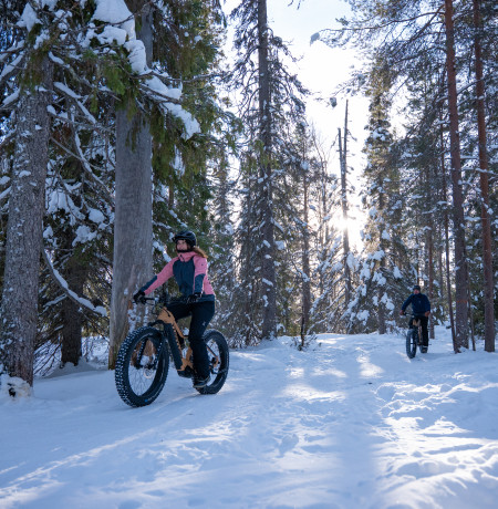 pyhaluosto_talvipyoraily