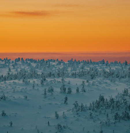 Visitpyhaluosto_Pyhaluostonationalpark-kansallispuisto