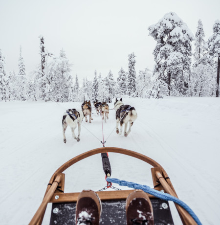 VisitPyhaLuosto-huskyvaljakko