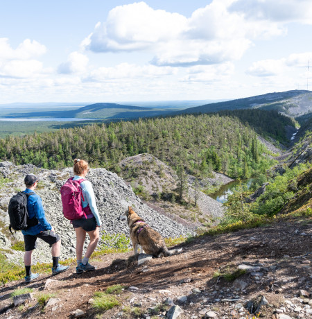 Visitpyhaluosto_noitatunturi_kesa