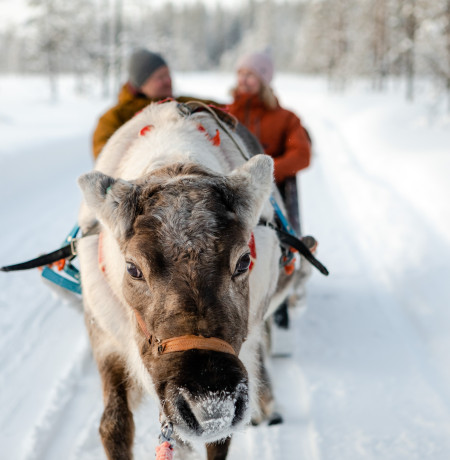 VisitPyhaLuosto-porot