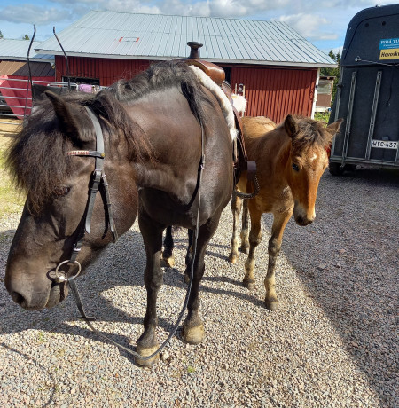 Outisen ratsastuskeskus