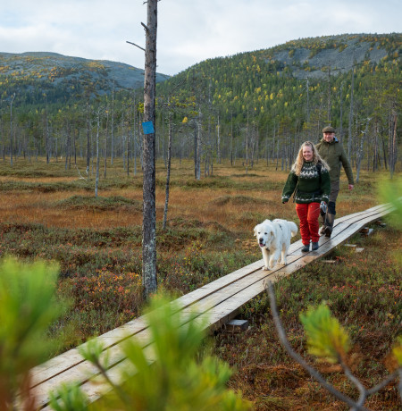 Visitpyhaluosto hiking Tunturiaapa trail syksy