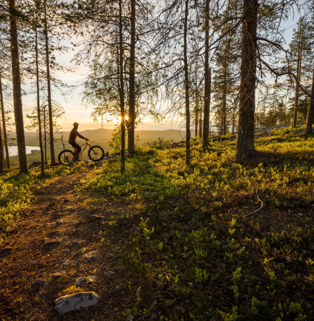 Visit PyhaLuosto - maastopyöräily