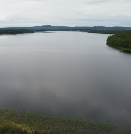 Harjula Tontilta järvelle.JPG