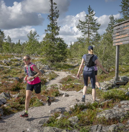 NUTS_PYHÄ_2025_POPPIS_SUOMELA-6074-2.jpg