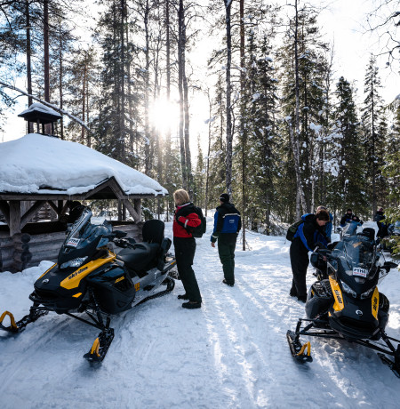 Nature Snowmobile Safari