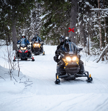 Snowmobile Safari with Campfire