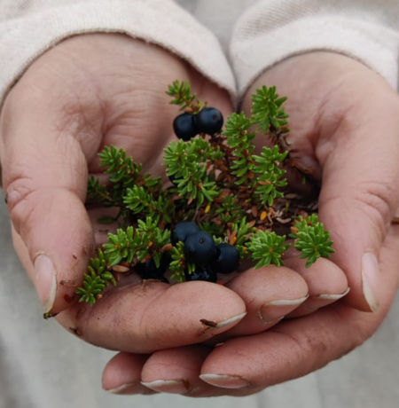 Edible Forest Garden 1 Of Northern Nature.png