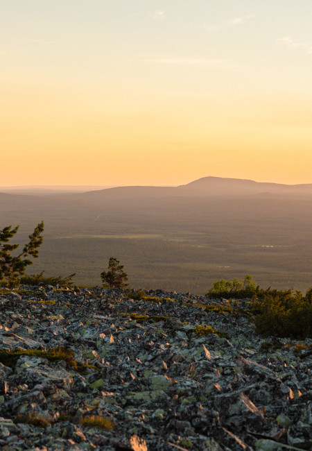 Summer in Pyhä Lapland