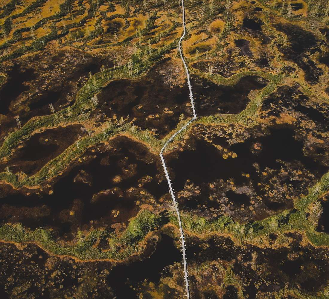 Visitpyhaluosto_tunturiaapa