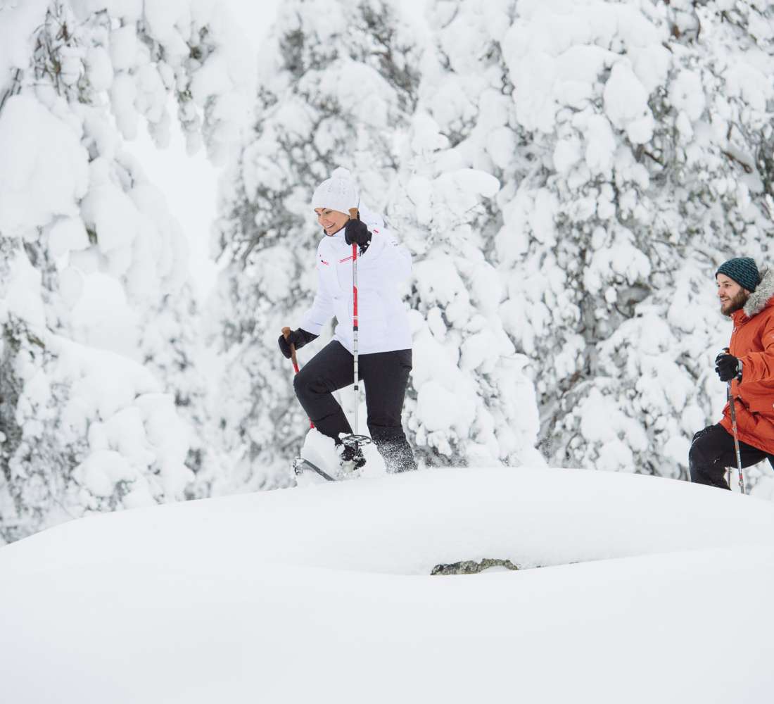 Premium Snowshoeing in Pyhä-Luosto National Park
